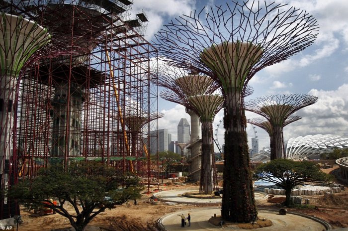 Бетонно-стальной сад в Сингапуре