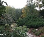 Ботанический сад МГУ «Аптекарский огород»