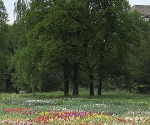 Ботанический сад ХНУ