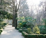 Ботанический сад Мадрида