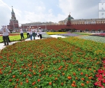 Фестиваль цветов на Красной площади