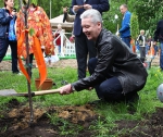 Новая программа озеленения дворов Москвы