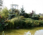 Сад Александра Марченко